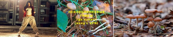 гидра Балахна